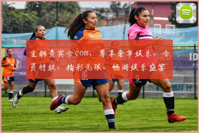金狮贵宾会com，尊享奢华娱乐，会员特权，精彩无限，畅游娱乐盛宴