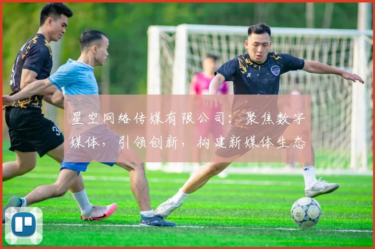 星空网络传媒有限公司：聚焦数字媒体，引领创新，构建新媒体生态，成就卓越