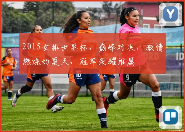 2015女排世界杯，巅峰对决，激情燃烧的夏天，冠军荣耀谁属