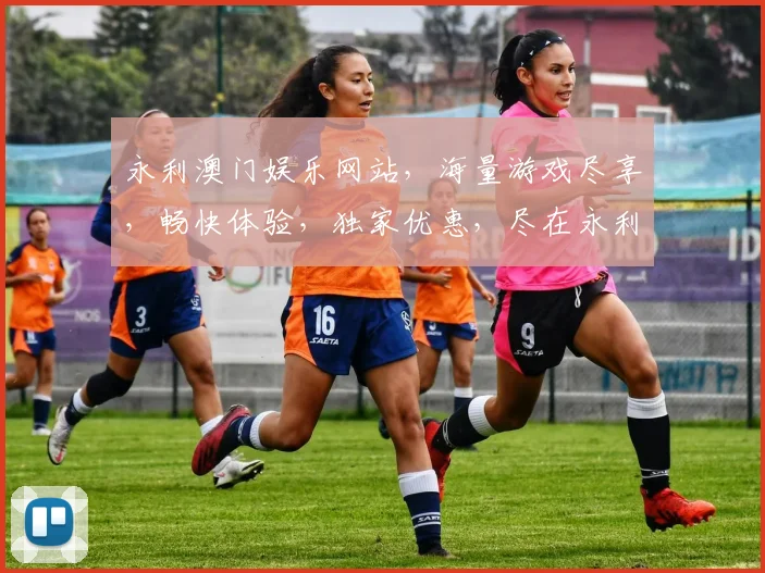 永利澳门娱乐网站，海量游戏尽享，畅快体验，独家优惠，尽在永利