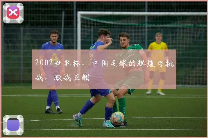 2002世界杯，中国足球的辉煌与挑战，激战正酣